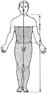 Иллюстрация к книге — Победи болезни силой духа. Практические приемы самооздоровления и омоложения [_6.jpg]
