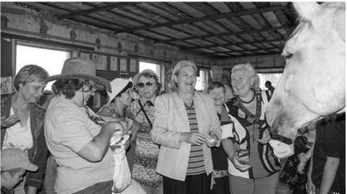 Иллюстрация к книге — Таблетка от склероза. Тренировка мозга для ржавых чайников [i_004.jpg]