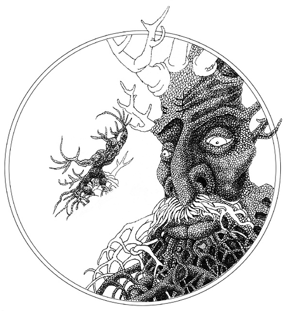 Иллюстрация к книге — Трансформация. Проявление самости [i_001.jpg]