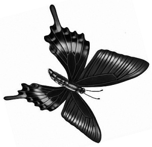 Иллюстрация к книге — Трансформация. Проявление самости [i_002.jpg]