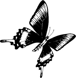 Иллюстрация к книге — Трансформация. Проявление самости [i_003.jpg]