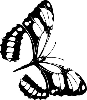 Иллюстрация к книге — Трансформация. Проявление самости [i_007.jpg]