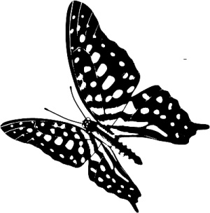 Иллюстрация к книге — Трансформация. Проявление самости [i_008.jpg]