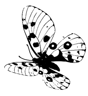 Иллюстрация к книге — Трансформация. Проявление самости [i_009.jpg]