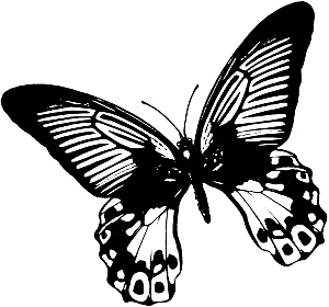 Иллюстрация к книге — Трансформация. Проявление самости [i_011.jpg]