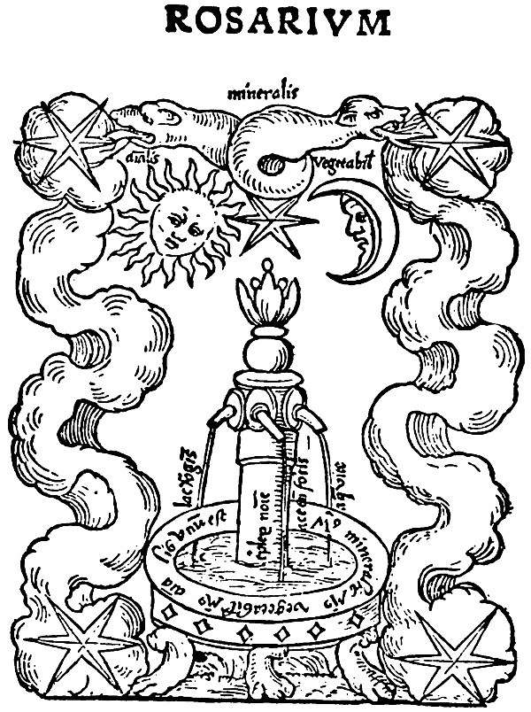 Иллюстрация к книге — Трансформация. Проявление самости [i_012.jpg]