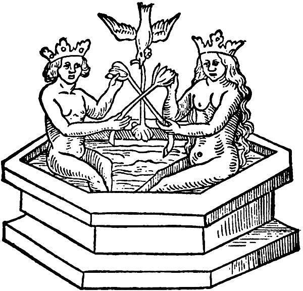 Иллюстрация к книге — Трансформация. Проявление самости [i_015.jpg]