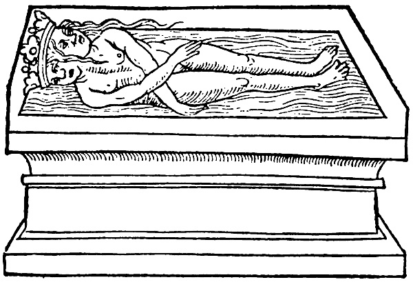 Иллюстрация к книге — Трансформация. Проявление самости [i_017.jpg]