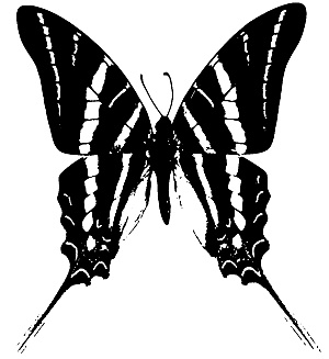 Иллюстрация к книге — Трансформация. Проявление самости [i_031.jpg]