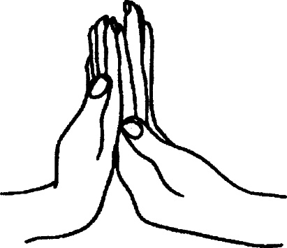 Иллюстрация к книге — Три грустных тигра [i_006.jpg]