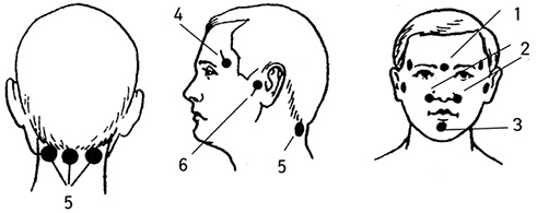 Иллюстрация к книге — Жизнь без таблеток [i_004.jpg]
