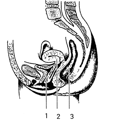 Иллюстрация к книге — Жизнь без таблеток [i_014.jpg]