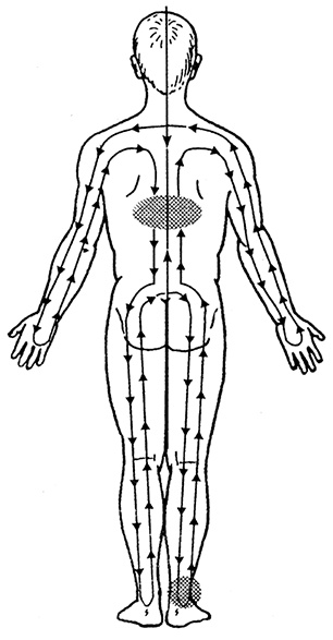 Иллюстрация к книге — Жизнь без таблеток [i_019.jpg]