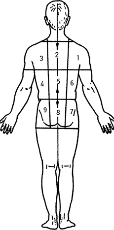 Иллюстрация к книге — Жизнь без таблеток [i_028.jpg]