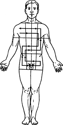 Иллюстрация к книге — Жизнь без таблеток [i_030.jpg]