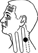 Иллюстрация к книге — Жизнь без таблеток [i_034.jpg]