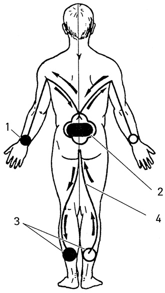 Иллюстрация к книге — Жизнь без таблеток [i_043.jpg]