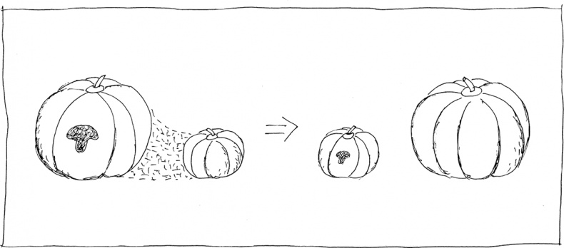 Иллюстрация к книге — Слонодёмия [i_031.jpg]