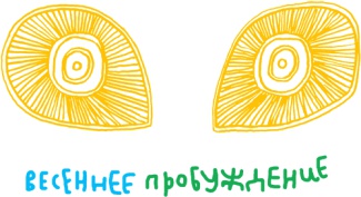 Иллюстрация к книге — От клубка до праздничного марша [i_074.jpg]