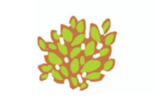 Иллюстрация к книге — От шнурков до сердечка [i_034.jpg]