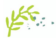 Иллюстрация к книге — От шнурков до сердечка [i_058.jpg]