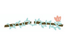 Иллюстрация к книге — От шнурков до сердечка [i_080.jpg]