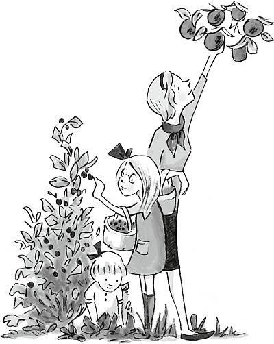 Иллюстрация к книге — Французские дети едят все [_13.jpg]