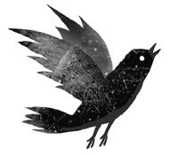 Иллюстрация к книге — Следы [i_024.jpg]