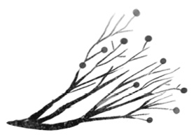 Иллюстрация к книге — Следы [i_026.jpg]