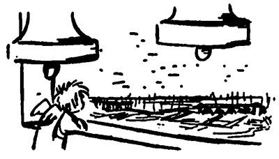 Иллюстрация к книге — Малый мир. Дон Камилло [i_030.jpg]