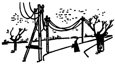 Иллюстрация к книге — Малый мир. Дон Камилло [i_037.jpg]