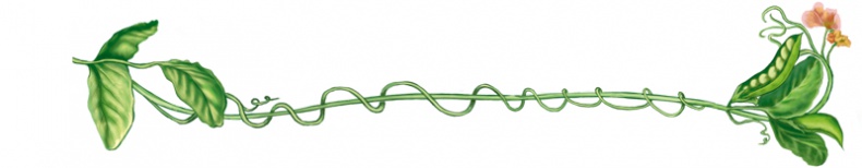 Иллюстрация к книге — Червячок Чарли [i_004.jpg]