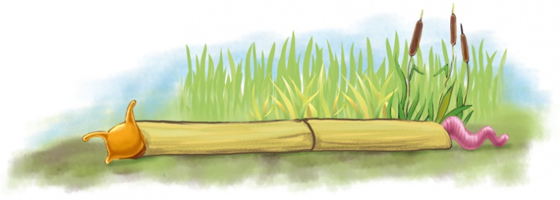 Иллюстрация к книге — Червячок Чарли [i_012.jpg]