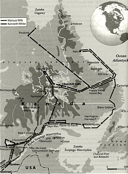 Иллюстрация к книге — Путем дикого гуся [i_001.jpg]