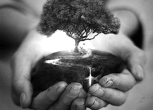 Иллюстрация к книге — Сила рода - тайна женщины. Сакральные знания для счастливой судьбы [i_007.jpg]