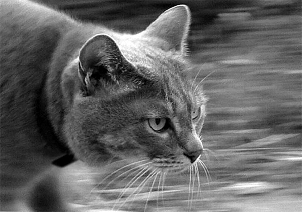 Иллюстрация к книге — Сила рода - тайна женщины. Сакральные знания для счастливой судьбы [i_012.jpg]