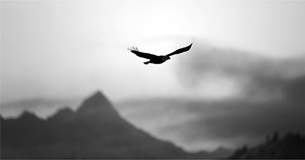 Иллюстрация к книге — Сила рода - тайна женщины. Сакральные знания для счастливой судьбы [i_026.jpg]