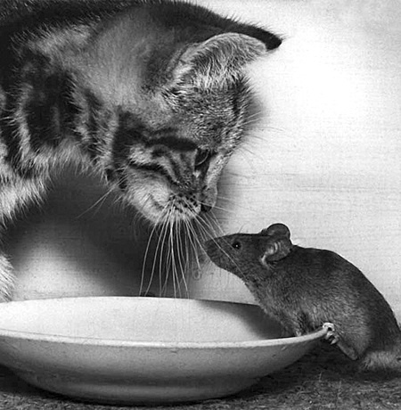 Иллюстрация к книге — Сила рода - тайна женщины. Сакральные знания для счастливой судьбы [i_074.jpg]