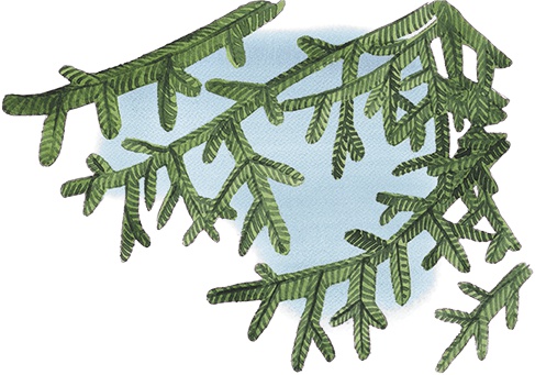 Иллюстрация к книге — Большая маленькая девочка. История седьмая. Грустный радостный праздник [i_025.jpg]