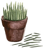 Иллюстрация к книге — Большая маленькая девочка. История седьмая. Грустный радостный праздник [i_036.jpg]