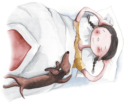 Иллюстрация к книге — Большая маленькая девочка. История восьмая. Дело о клетчатой сумке [i_002.jpg]