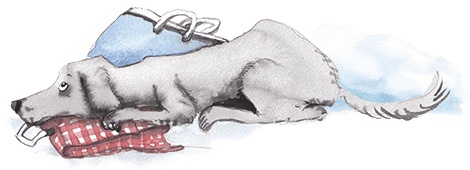 Иллюстрация к книге — Большая маленькая девочка. История восьмая. Дело о клетчатой сумке [i_008.jpg]