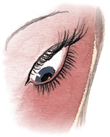 Иллюстрация к книге — Большая маленькая девочка. История восьмая. Дело о клетчатой сумке [i_019.jpg]