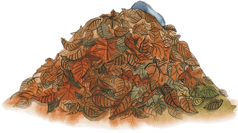 Иллюстрация к книге — Большая маленькая девочка. История шестая. Тыквандо [i_010.jpg]