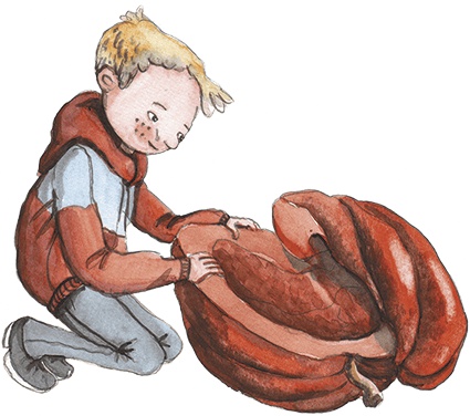 Иллюстрация к книге — Большая маленькая девочка. История шестая. Тыквандо [i_025.jpg]