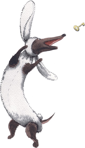 Иллюстрация к книге — Большая маленькая девочка. История третья. Вышел зайчик погулять [i_001.jpg]