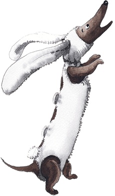 Иллюстрация к книге — Большая маленькая девочка. История третья. Вышел зайчик погулять [i_018.jpg]