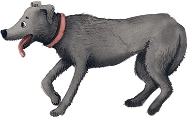 Иллюстрация к книге — Большая маленькая девочка. История третья. Вышел зайчик погулять [i_020.jpg]