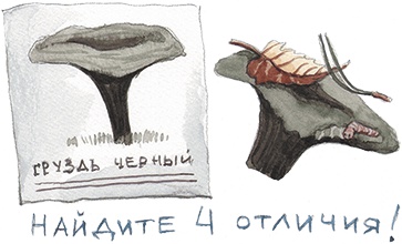 Иллюстрация к книге — Большая маленькая девочка. История пятая. Сто один способ заблудиться в лесу [i_012.jpg]