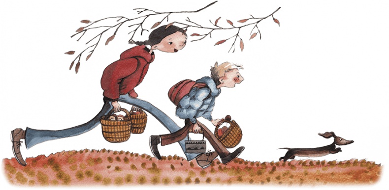 Иллюстрация к книге — Большая маленькая девочка. История пятая. Сто один способ заблудиться в лесу [i_019.jpg]